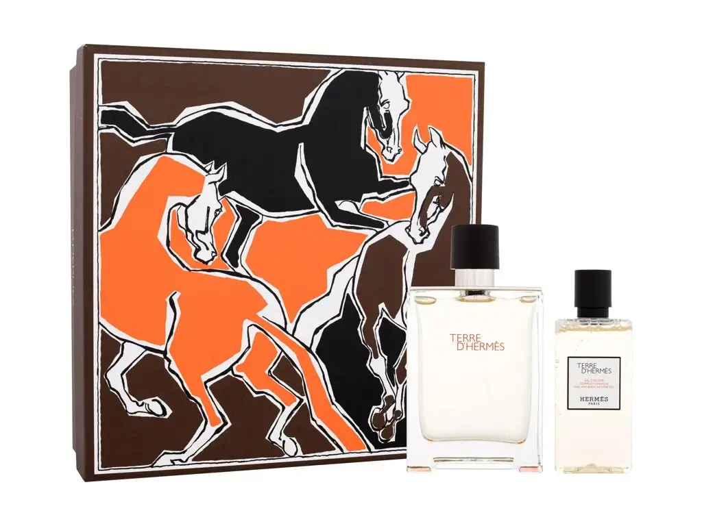 Hermes Terre d'Hermes SET2 Eau de Toilette 100 ml