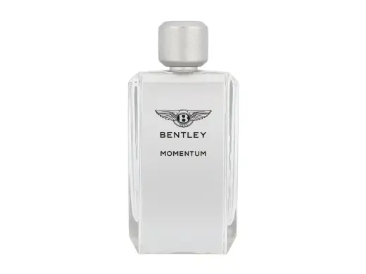 Bentley Momentum Eau de Toilette 100 ml