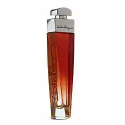 Ferragamo Subtil Parfum Eau de Parfum 100 ml