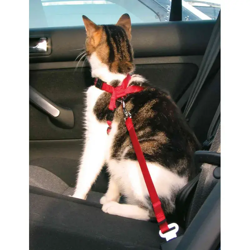Krūšu siksna ar pavadu kaķiem - Trixie Car harness for cats, 20–50 cm/15 mm