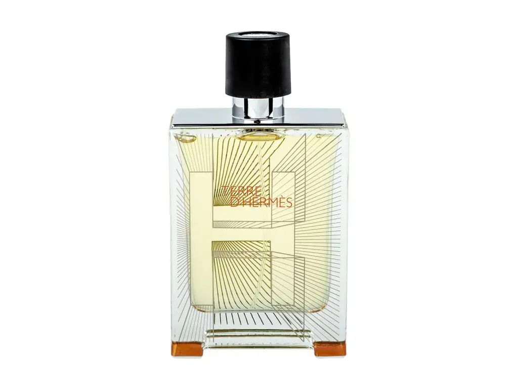 Hermes Terre D Hermes Flacon H 2014 Eau de Toilette 100 ml
