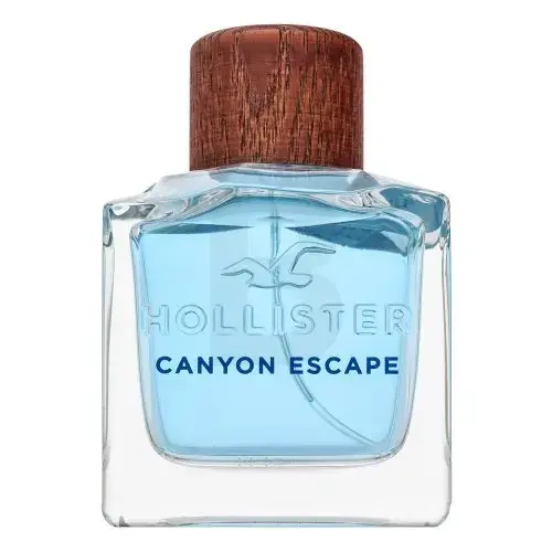 Hollister Canyon Escape Tualetes ūdens vīriešiem 100 ml