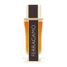 Salvatore Ferragamo Ferragamo Spicy Leather (EDP) parfumuotas vanduo vyrams 100 ml
