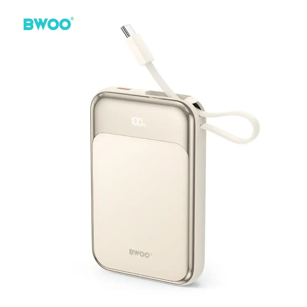 BWOO PD 20W 10000 mAh Power Bank With Usb-C Cable and Display P80 gold