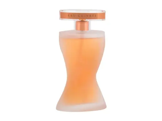 Montana Suggestion Eau Cuivree Eau de Parfum 100 ml