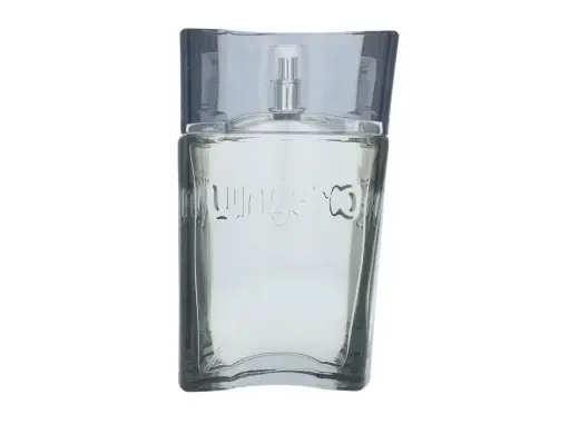 Emanuel Ungaro Ungaro Man Eau de Toilette 90 ml