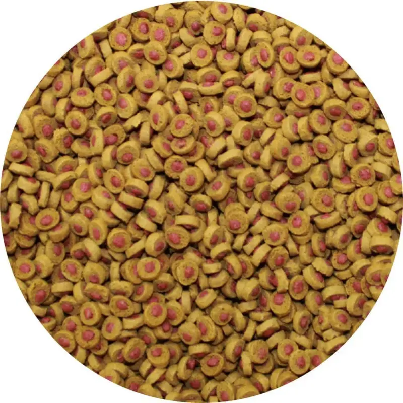 Barība dīķa zivīm - Sera KOI Professional Summer Food, 2200g