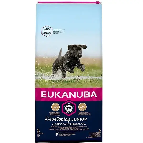 Sausa barība kucēniem - Eukanuba Junior Large Breed Chicken, 15 kg