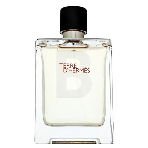 Hermès Terre D'Hermes (EDT) Eau de Toilette for Men 100 ml