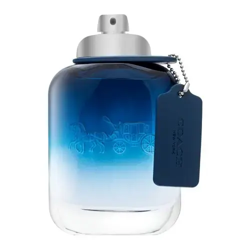 Coach Blue Tualetes ūdens vīriešiem 100 ml