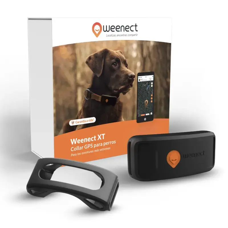 Weenect Mini GPS tracker for large