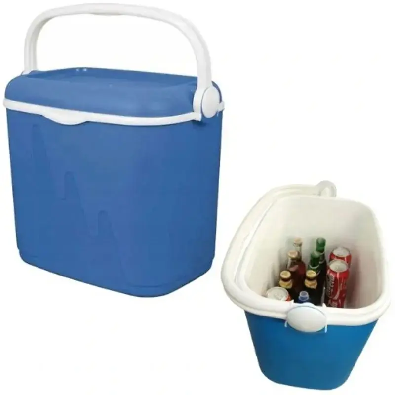 Aukstuma kaste 33L 49,8x33,3x41cm zila/balta