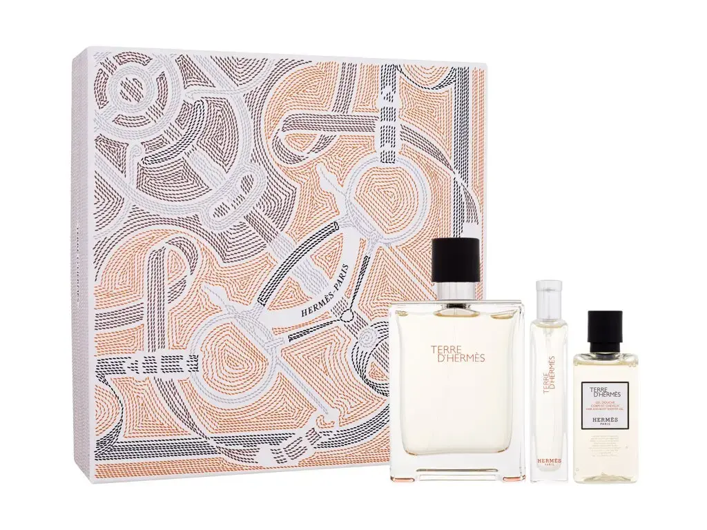 Hermes Terre d'Hermes Eau de Toilette 100 ml