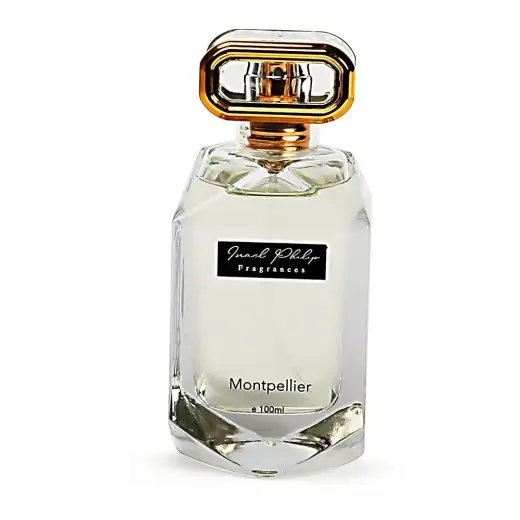 Israel Philip Montpellier (Parfum) kvepalai vyrams 100 ml