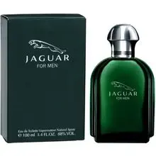 Jaguar Jaguar for Men Туалетная вода для мужчин Тестер 100 мл