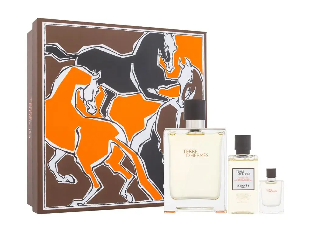 Hermes Terre d'Hermes Eau de Toilette 100 ml