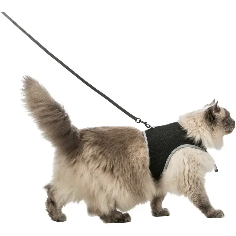 Krūšu siksna veste ar pavadu kaķiem - Trixie Soft harness with leash for cats, XL, 36–54 cm, 1.20 m