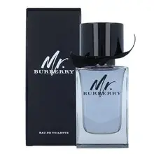 Mr. Burberry EDT