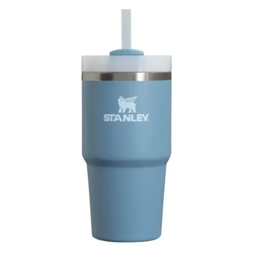 Termoskruus kõrrega The Quencher H2.O FlowState Tumbler 0.59L sinakasvioletne