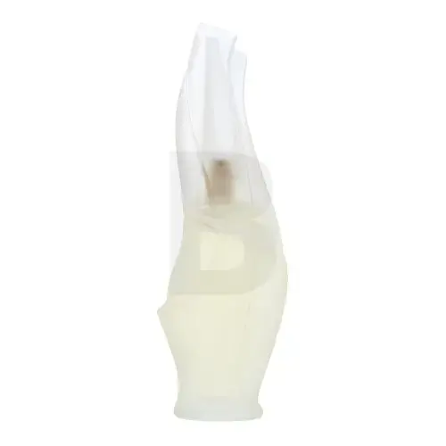 DKNY Cashmere Mist Eau de Toilette for women 100 ml