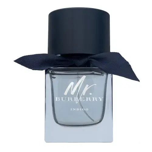 Burberry Mr. Burberry Indigo Eau de Toilette for men 50 ml