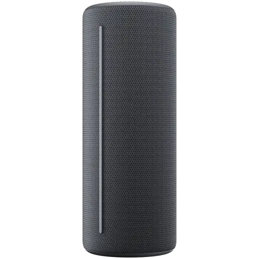 WE. HEAR 1 By Loewe Portable Speaker 40W, Storm Grey