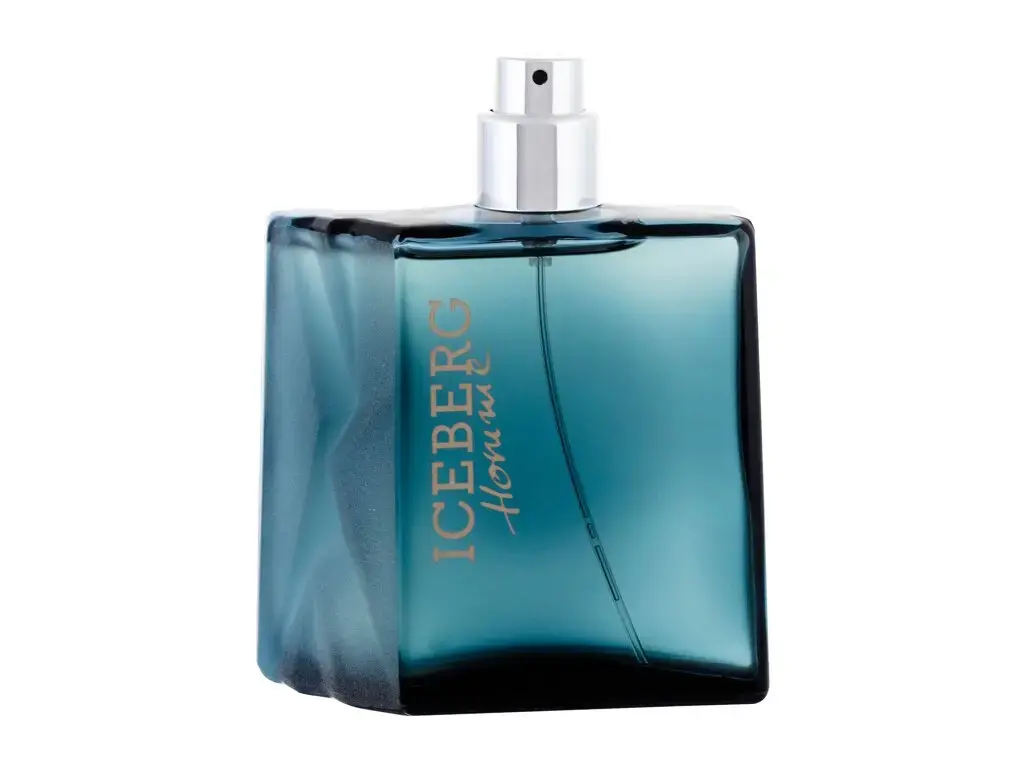 Iceberg Homme Eau de Toilette 100 ml