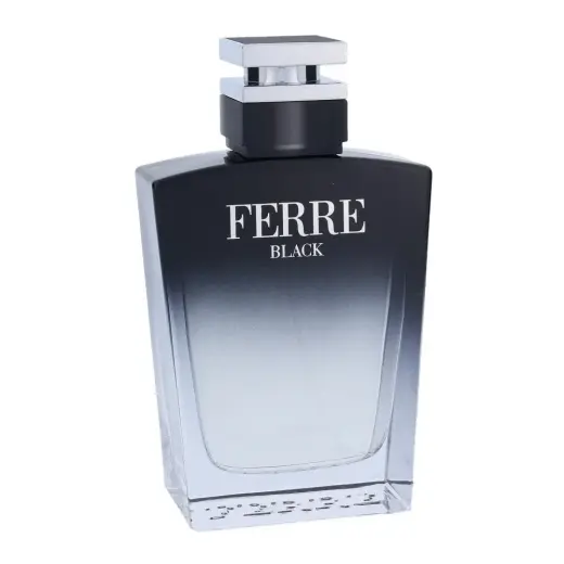 Gianfranco Ferre Ferre Black (EDT) tualetinis vanduo vyrams 100 ml