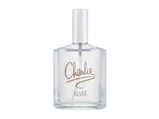 Revlon Charlie Silver Eau de Toilette 100 ml