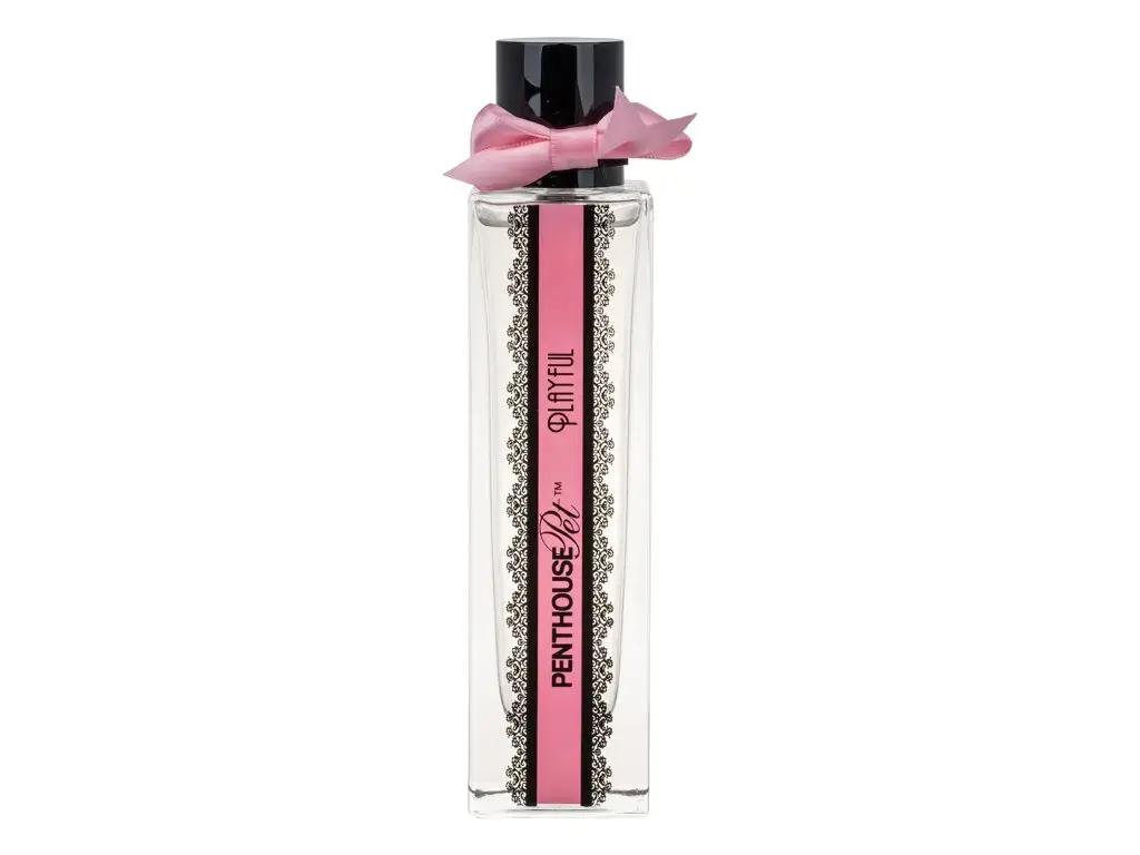 Penthouse Playful Eau de Parfum 100 ml