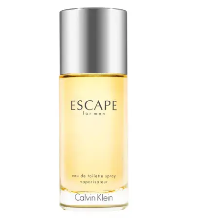 Calvin Klein Escape for Men (EDT) tualetinis vanduo vyrams 100 ml