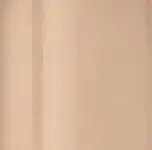 Debenhams Match Perfection Foundation in Ivory 100