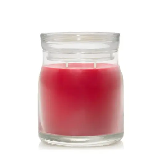 Debenhams Signature Medium Jar Santa on Skis