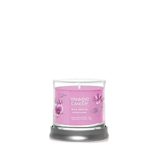Debenhams Signature Small Tumbler Wild Orchid in Pink