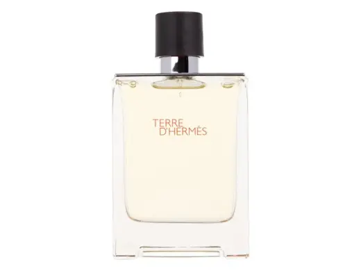 Hermes Terre d'Hermes Eau de Toilette 100 ml