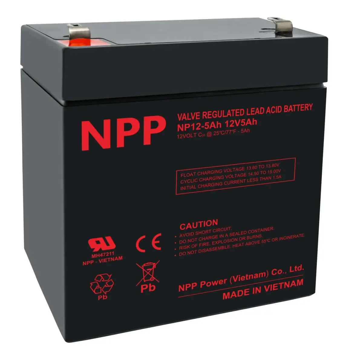 NPP Battery 12V 5Ah T2(F2) Pb