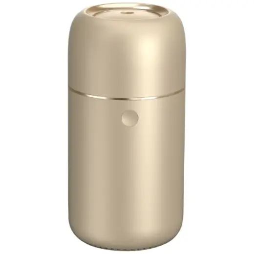 Diffuser Natural Orgin Chic gold