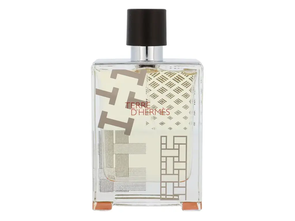 Hermes Terre D Hermes Flacon H 2016 Eau de Toilette 100 ml