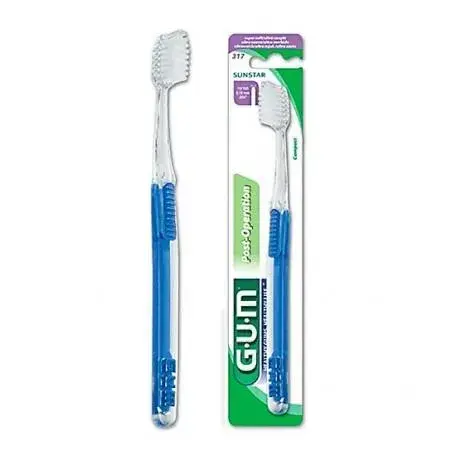 G.U.M Gum Brush 317
