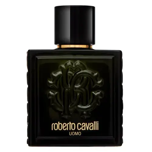 Roberto Cavalli Uomo tualetes ūdens vīriešiem 100 ml
