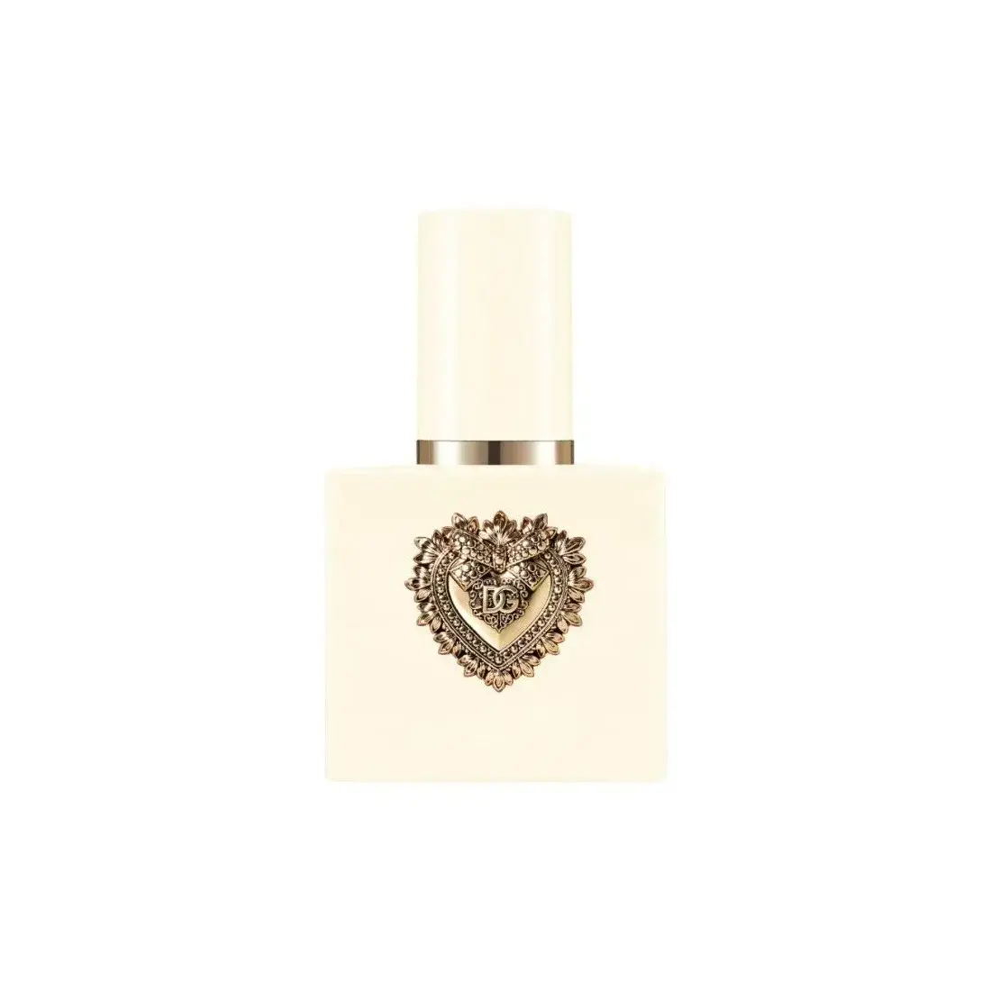 Dolce  AND  Gabbana Dolce and Gabbana