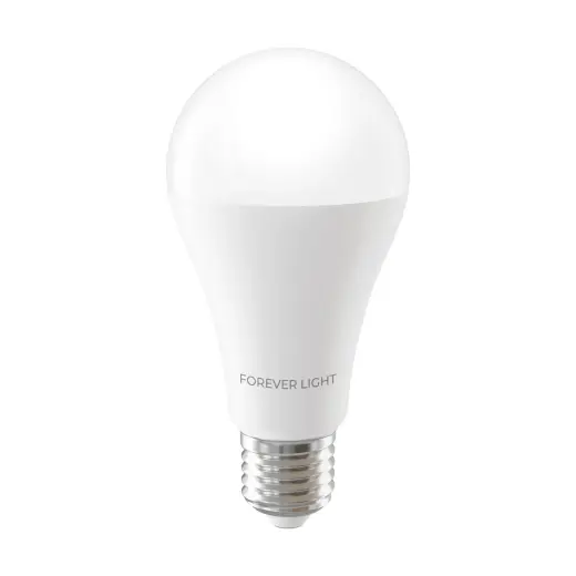 Forever Light LED Bulb E27 A65 17W 2100lm 4000K class E