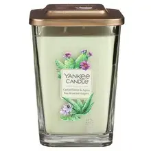 Elevation Cactus Flower & Agave Candle