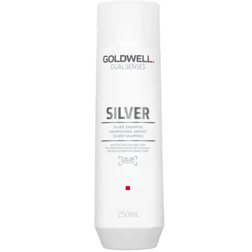 Goldwell, Dualsenses Silver, Hair Shampoo, Anti Grey, 250 ml