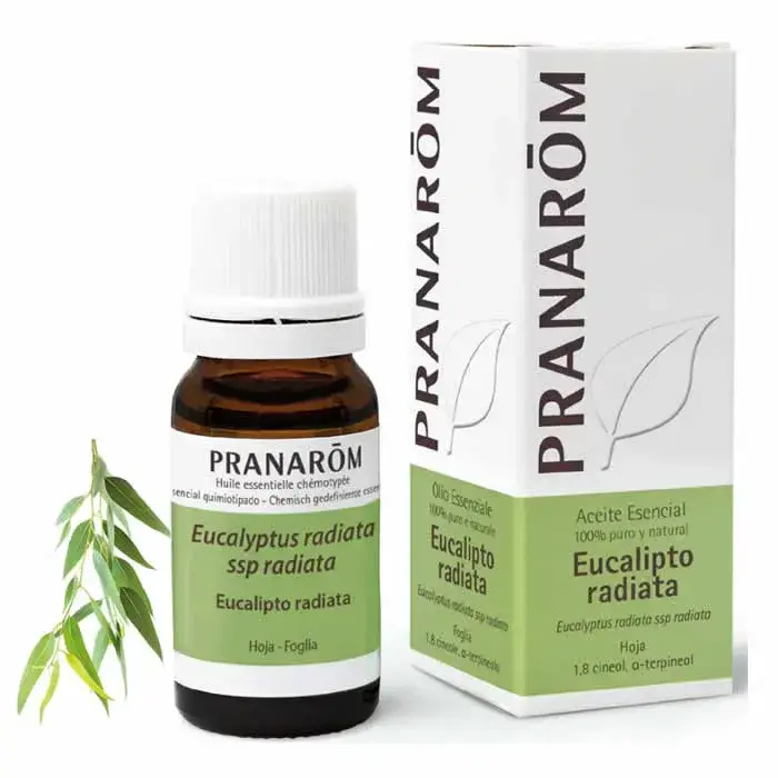 PRANARÔM Pranarom Eucalyptus Radiata Essential Oil