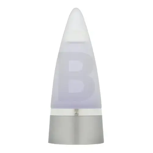 Rochas Rochas Man tualetes ūdens vīriešiem 100 ml