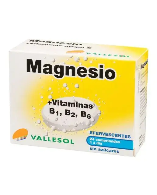 Vallesol Effervescent Magnesium B 24comp