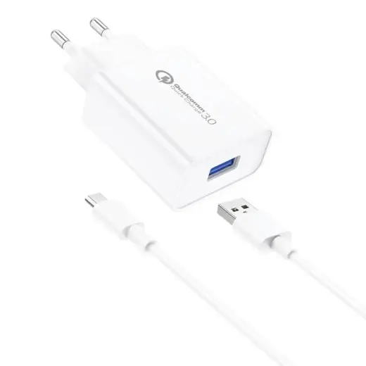 Foneng EU13 travel charger | 15W | USB-A, Micro USB | with USB-A to Micro USB cable included | white