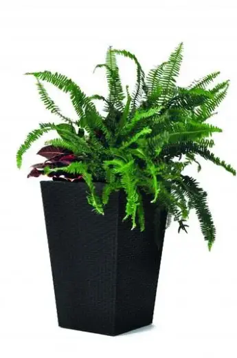 Lillepott Keter Rattan Planter, S, 43.5 cm