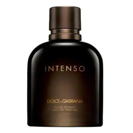 Dolce & Gabbana Intenso Pour Homme (EDP) parfüümvesi meestele 75 ml